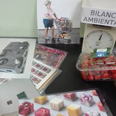 bilancia ambientale